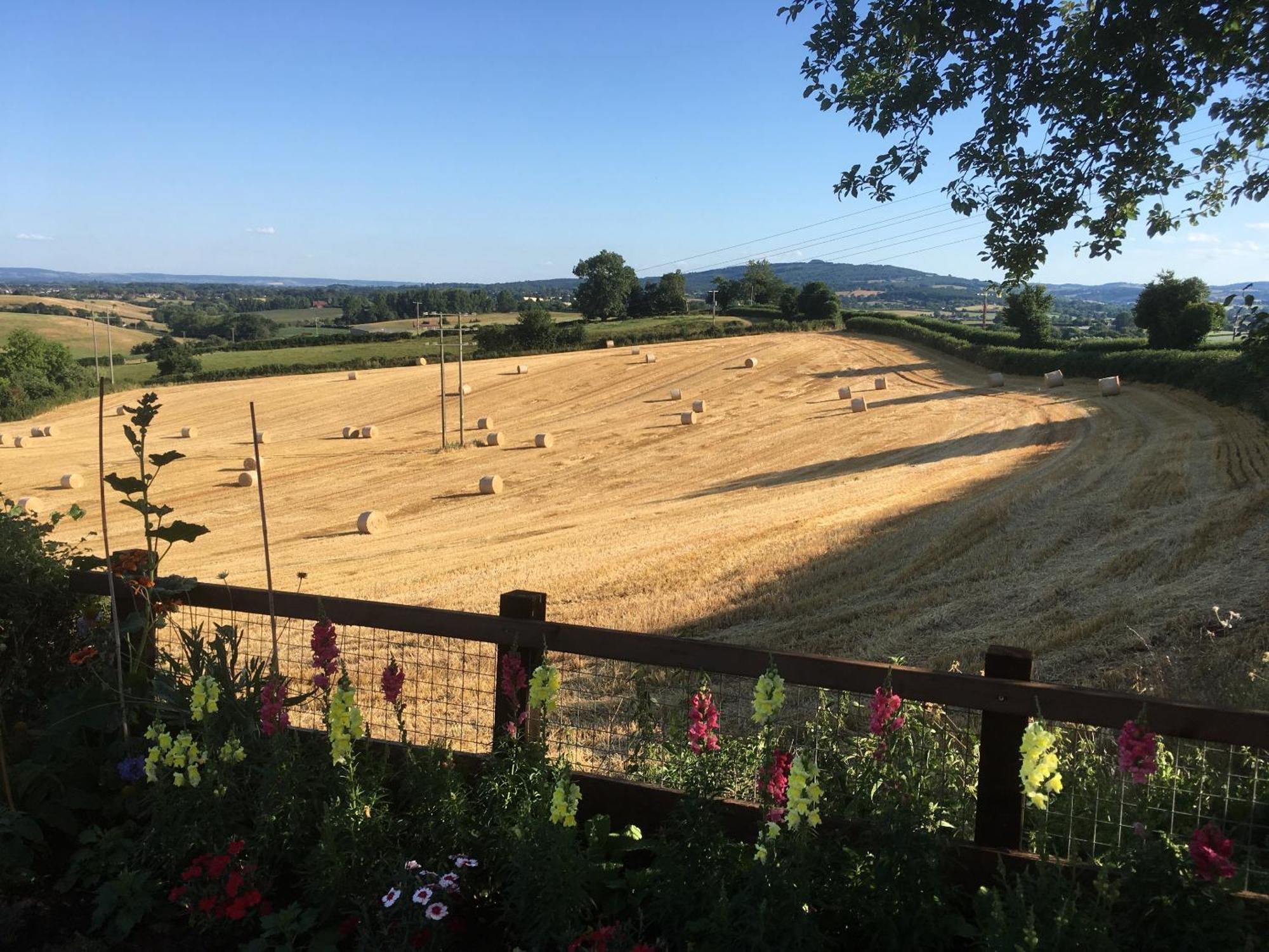 Betula Views Studio Newent Exterior foto